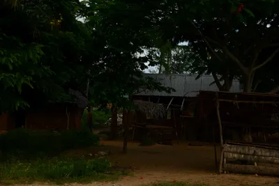 DSC_8057 (Large).JPG